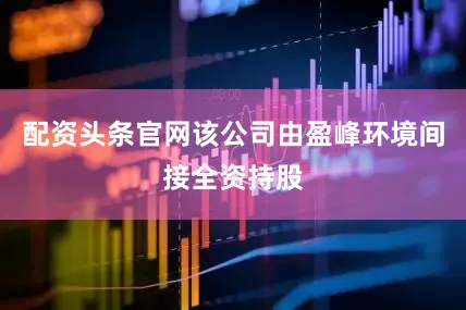 配资头条官网该公司由盈峰环境间接全资持股