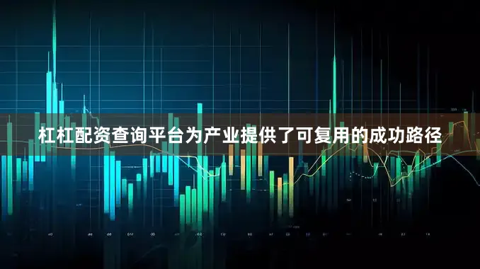 杠杠配资查询平台为产业提供了可复用的成功路径