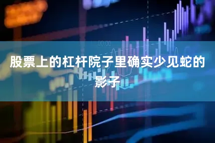 股票上的杠杆院子里确实少见蛇的影子