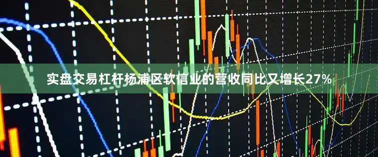 实盘交易杠杆杨浦区软信业的营收同比又增长27%